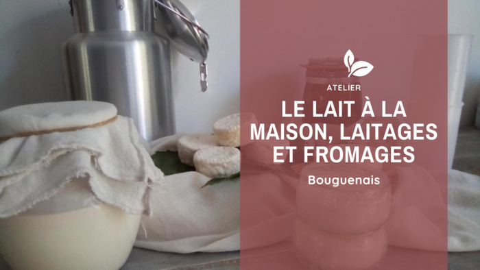 Le lait à la maison