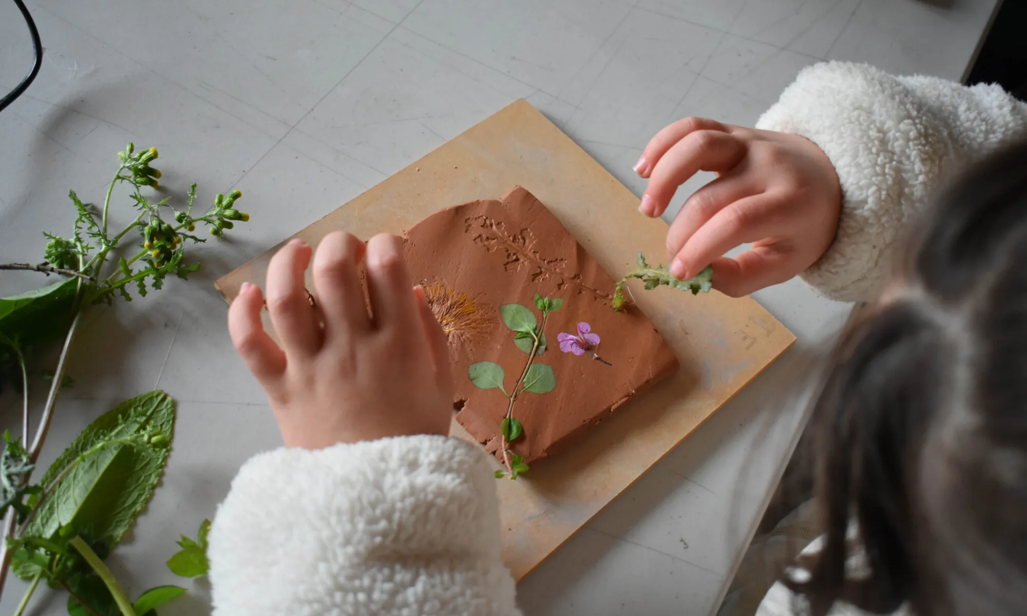 Ateliers à volonté