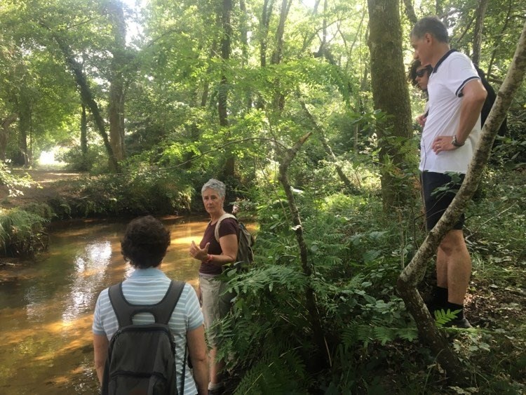 Randonnée découverte nature sur une demi-journée