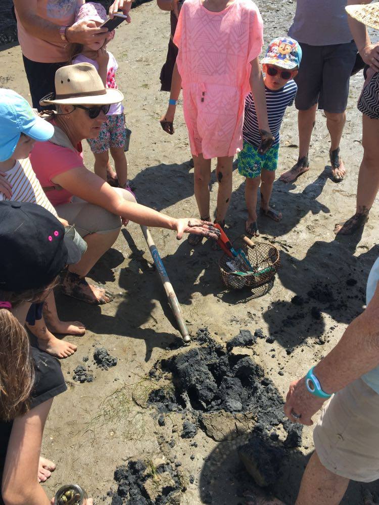 Les trésors de la plage