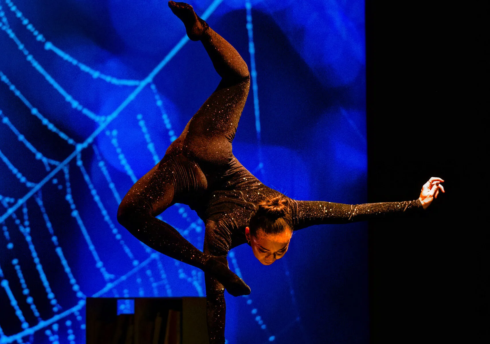 Cie Haspop Cirque du grand Lyon "Bibliotek