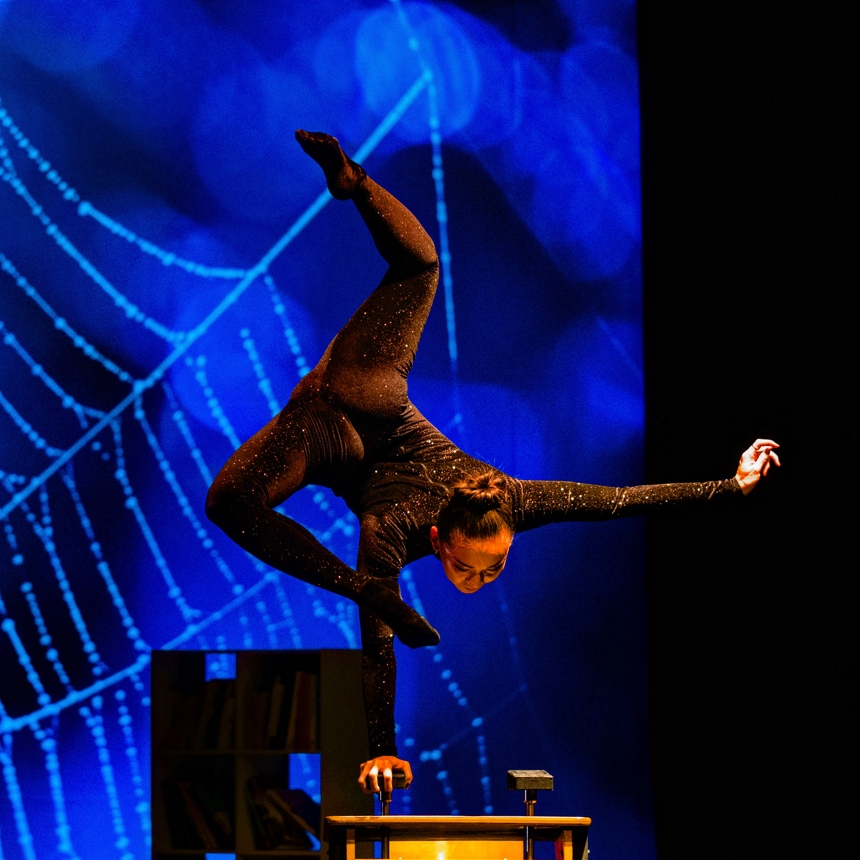 Cie Haspop Cirque du grand Lyon "Bibliotek