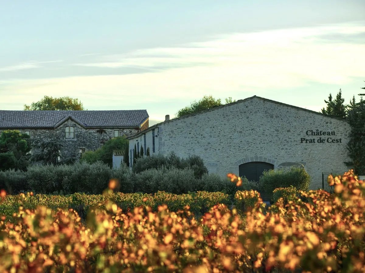 FWE 2024 VISITE ET DÉGUSTATION AU CHÂTEAU PRAT DE CEST