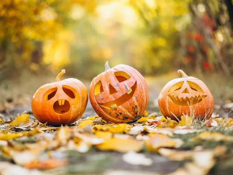 HALLOWEEN AU BAMBESCH JEU DE PISTE POUR LES ENFANTS