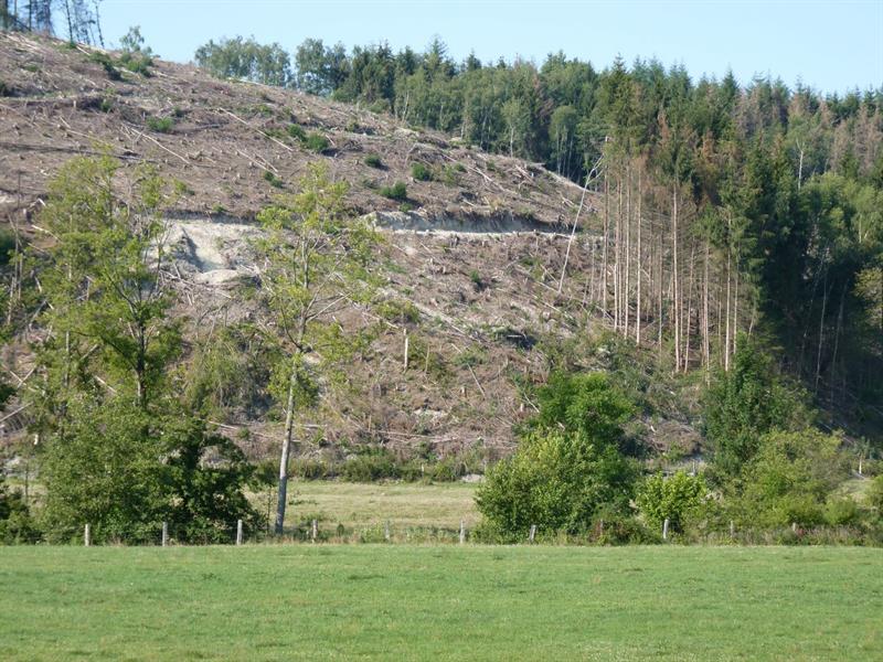 CONFÉRENCE LA FORÊT FRANÇAISE FACE AU DÉRÈGLEMENT CLIMATIQUE EXEMPLES MEUSIENS