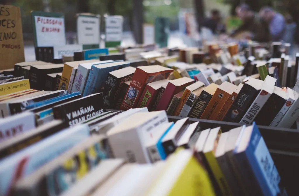 Foire aux livres par l'association Phoenix