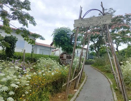 Semaine Klima ATELIER “Augmenter la biodiversité chez soi” avec l’association Bio Divers Cité