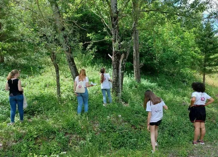 Gardiens des arbres Bois Saint-Martin - Forêt régionale du Maubué Noisy le Grand