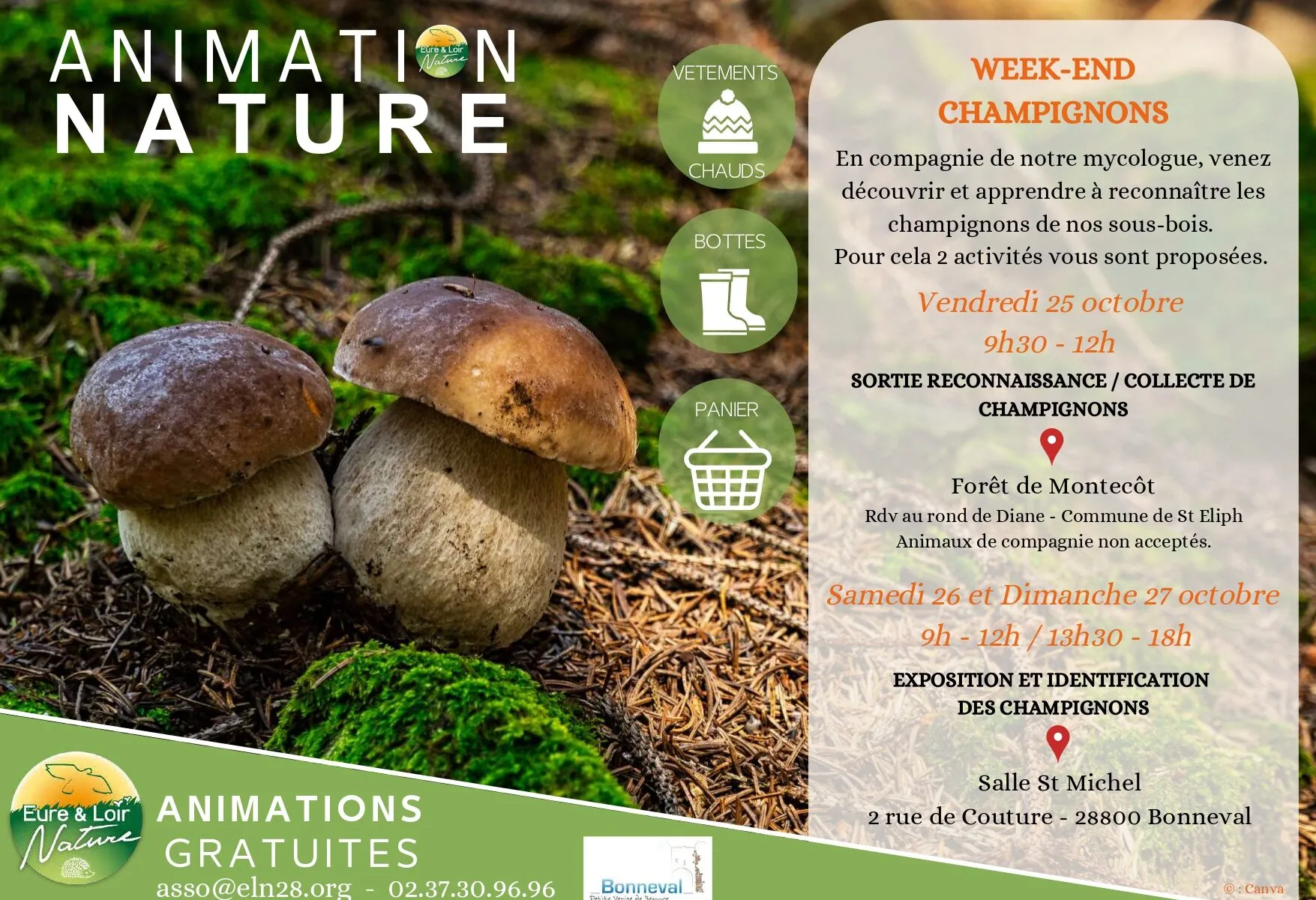 Exposition et identification des champignons