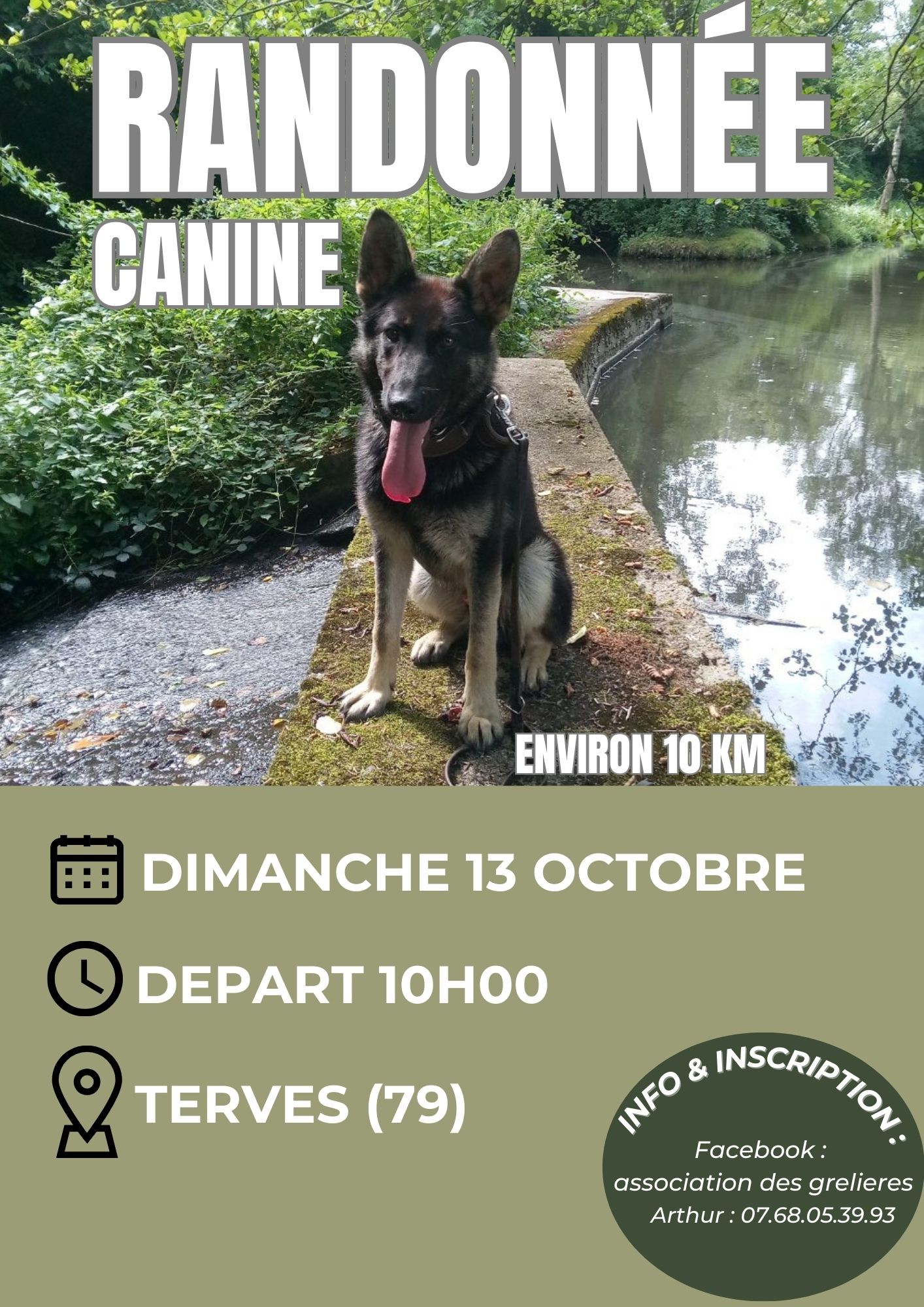 Randonnée canine