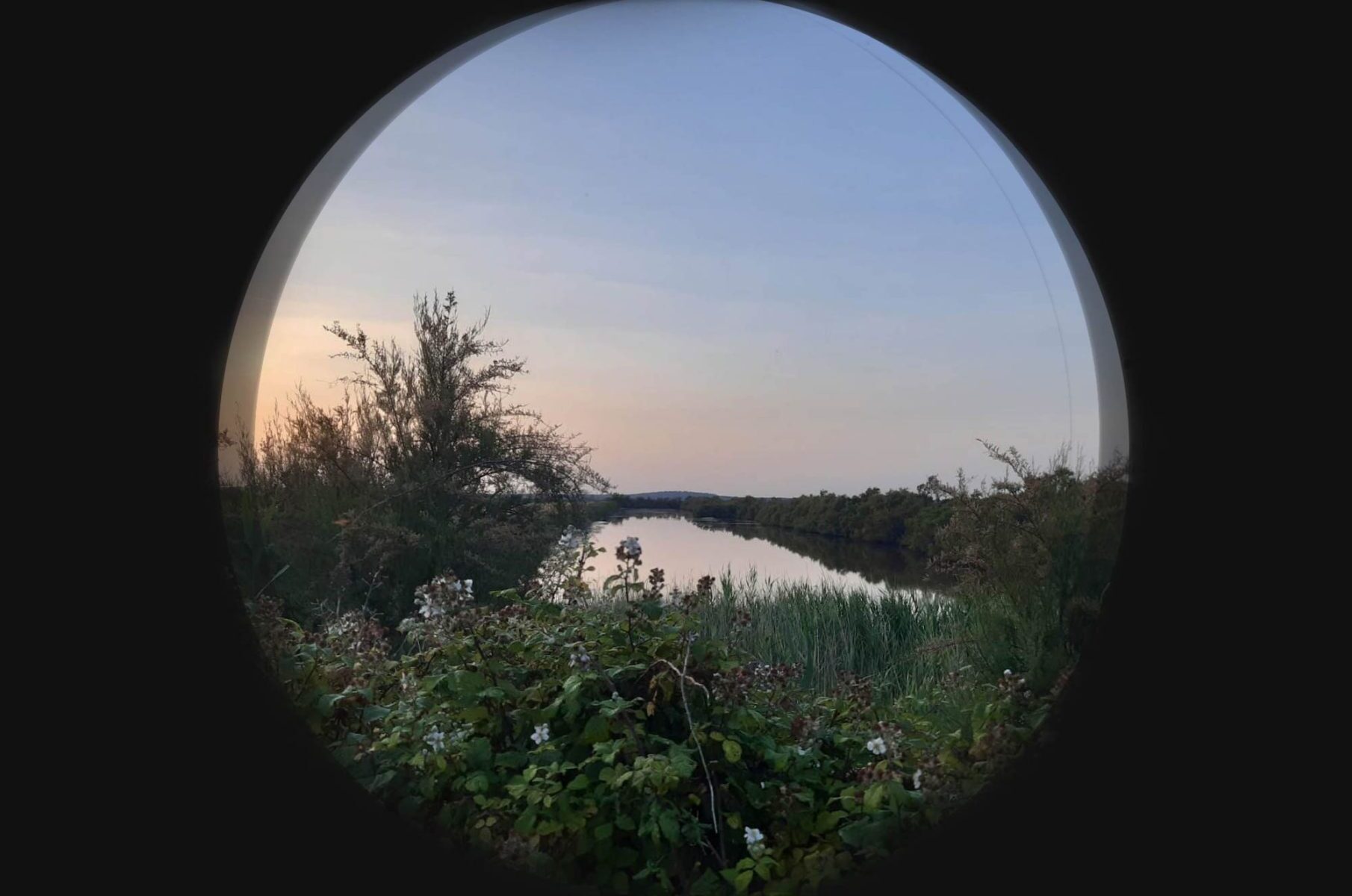 Ciné-débat Sur la piste du Grenome de l’estuaire