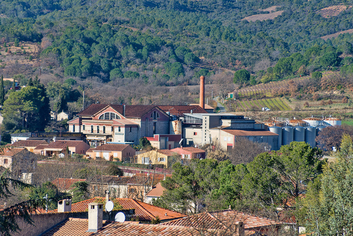 Conférence : histoire des caves coopératives Cave coopérative Saint-Chinian