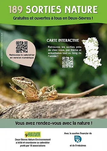 Sortie nature Les champignons du bocage