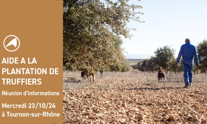 Aide à la plantation de truffiers Chambre d'agriculture de l'Ardèche - Antenne Moyen Vivarais Tournon-sur-Rhône