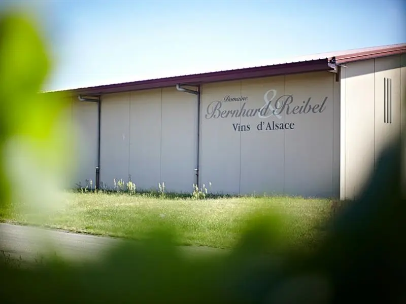 Domaine Bernhard-Reibel vin nouveau chez le vigneron indépendant