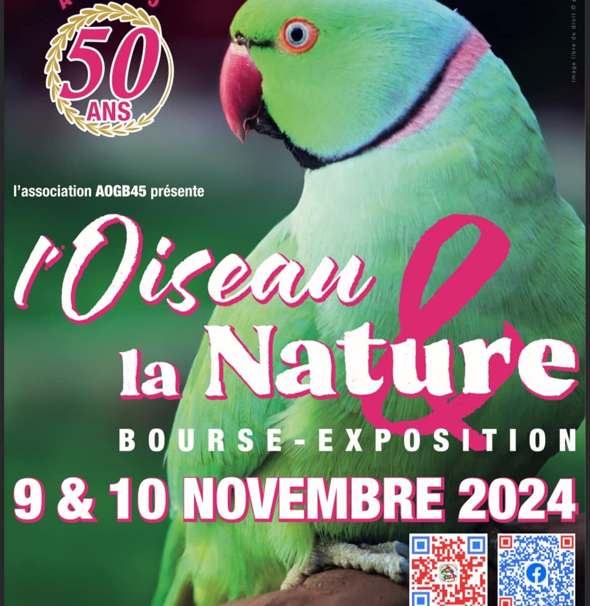 Bourse aux oiseaux à Châtillon-sur-Loire