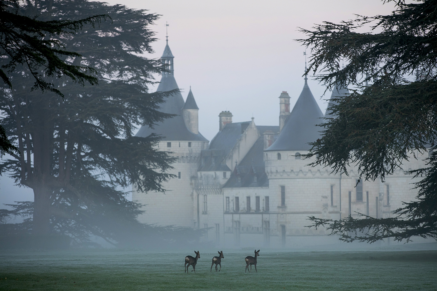 Rêve d'antan Noël au Domaine de Chaumont-sur-Loire