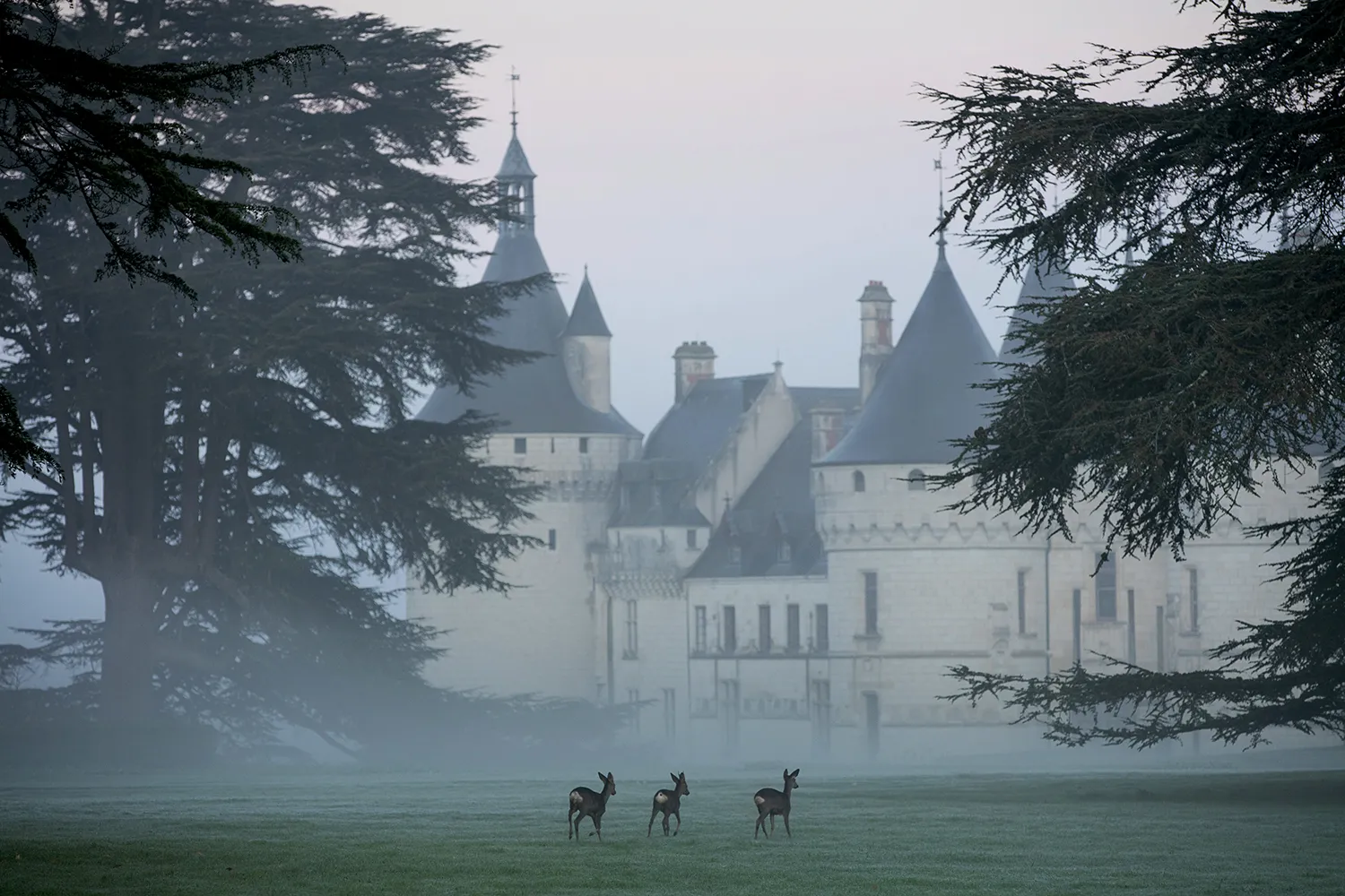 Rêve d'antan Noël au Domaine de Chaumont-sur-Loire