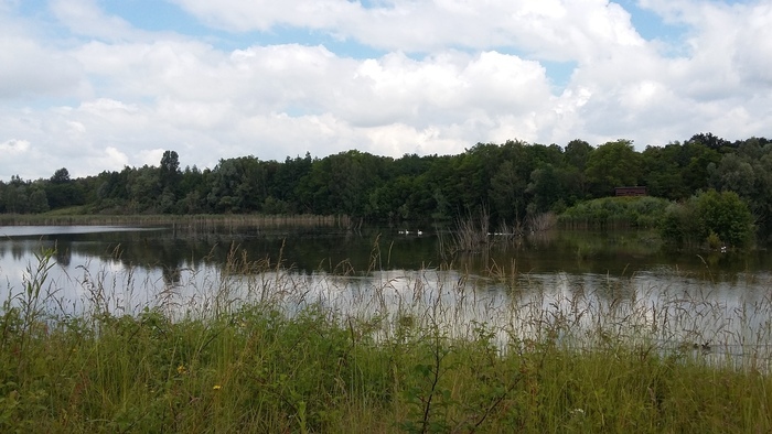 Un après-midi au cœur de la Réserve naturelle régionale du Grand-Voyeux Chemin de l'Epine Blanche Congis-sur-Thérouanne