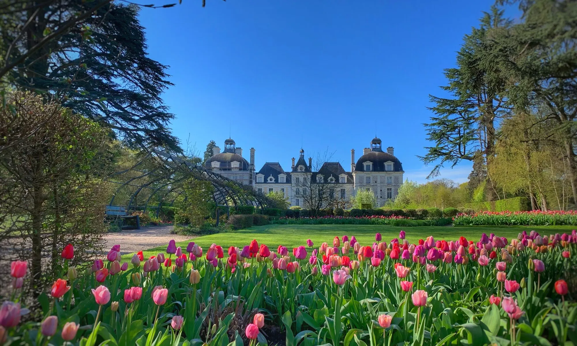 Fête des plantes au château de Cheverny