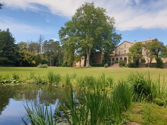 Promenade-conférence : « L’arbre dans les parcs et jardins de style