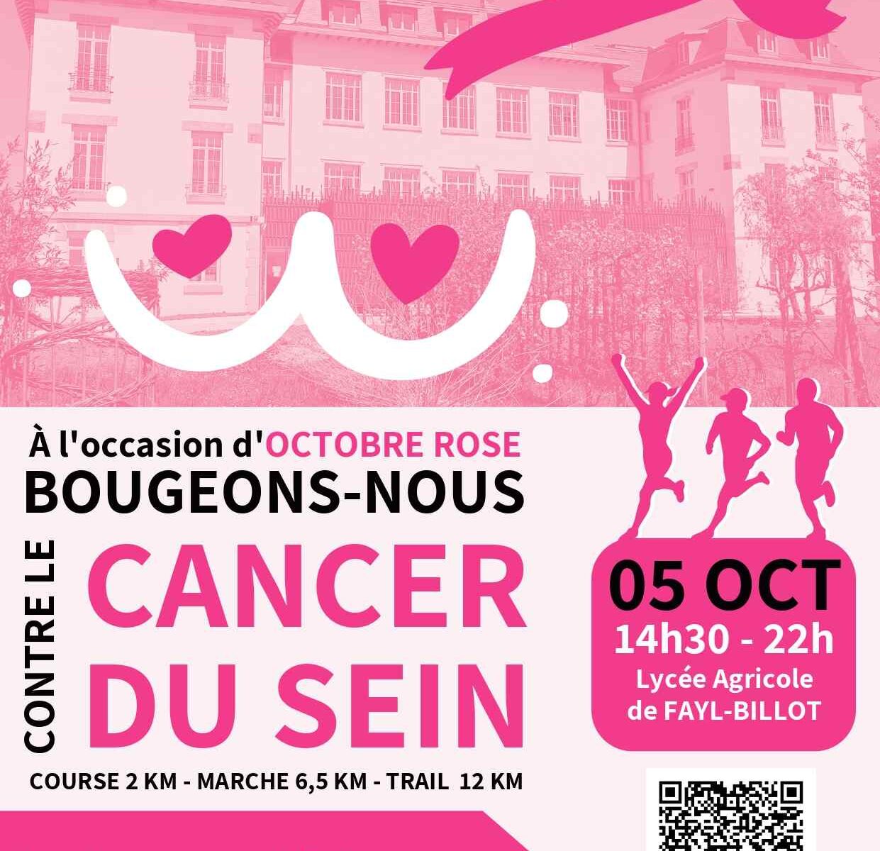 OCTOBRE ROSE A FAYL-BILLOT- MARCHE