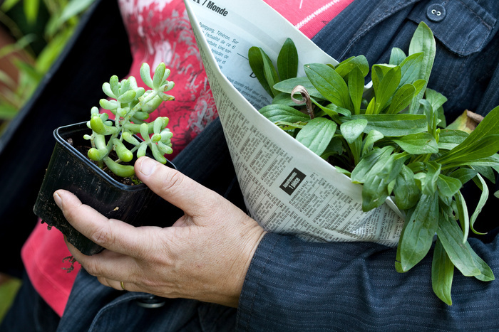 Bourse d’échange de plants Ferme du Héron Villeneuve-d'Ascq