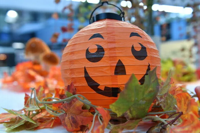 Citrouilles d'Halloween Ferme Pédagogique Marcel Dhénin Lille