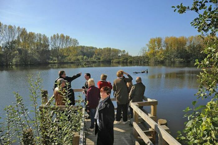 Balade naturaliste : pause migratoire Fretin Fretin