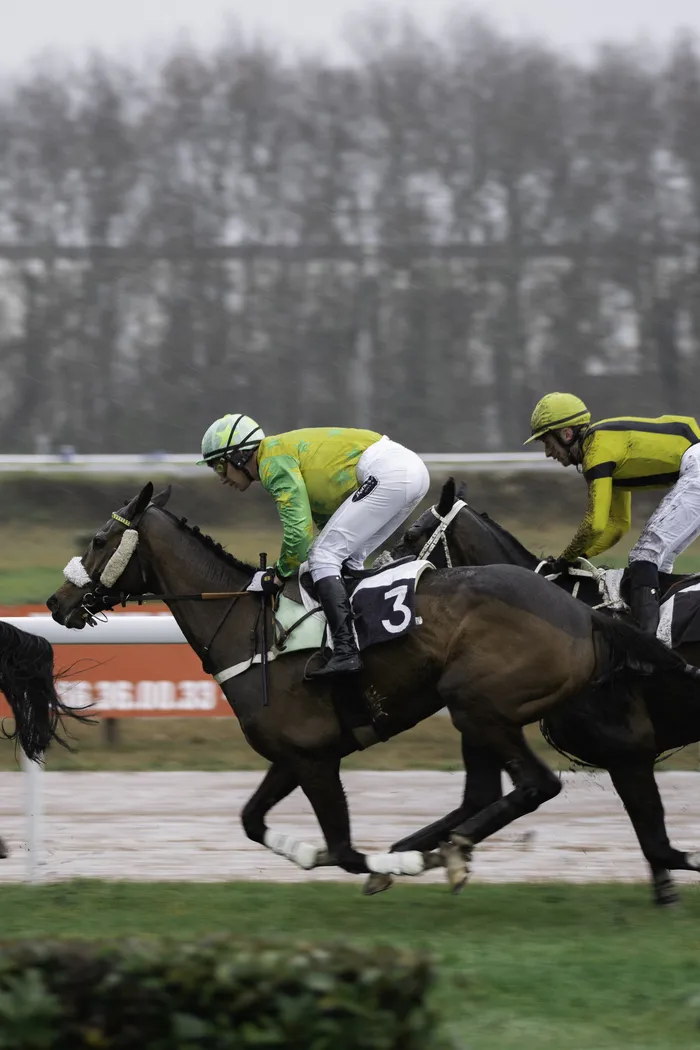 Courses hippiques du dimanche 20 octobre Hippodrome de Bordeaux-Le Bouscat Le Bouscat