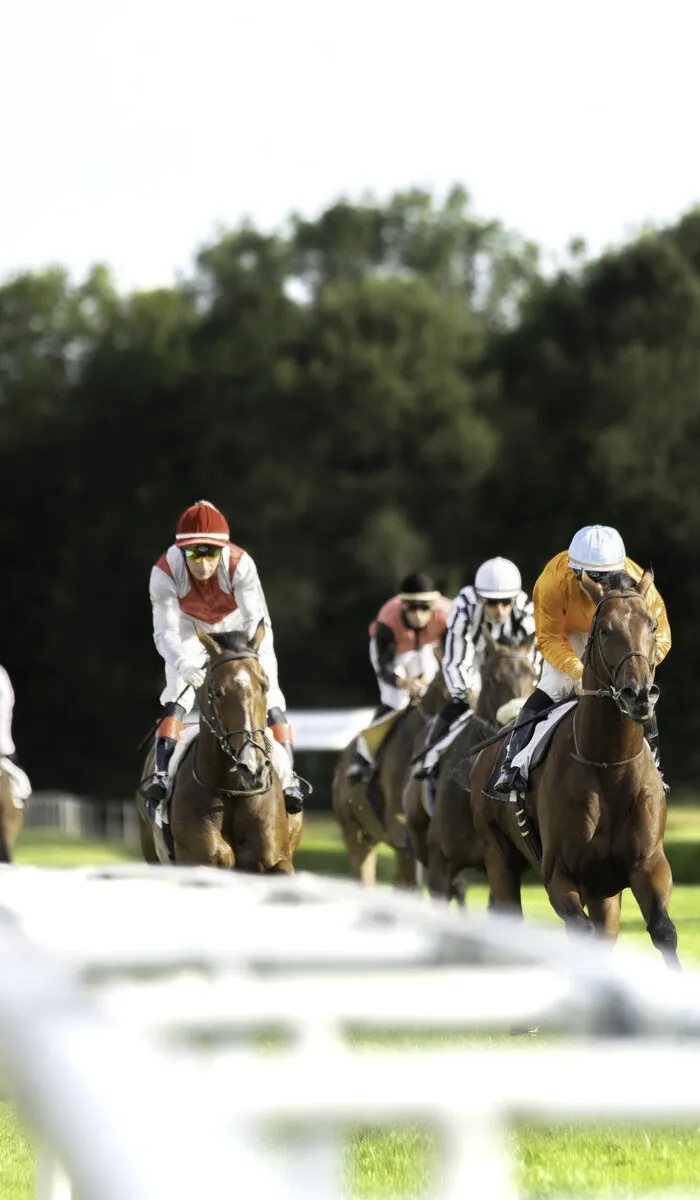 Courses hippiques du dimanche 26 octobre Hippodrome de Bordeaux-Le Bouscat Le Bouscat