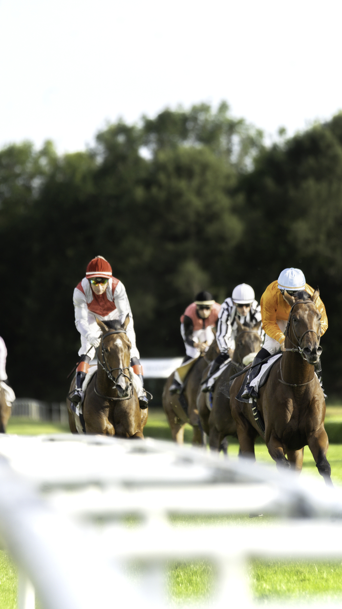 Courses hippiques du dimanche 26 octobre Hippodrome de Bordeaux-Le Bouscat Le Bouscat