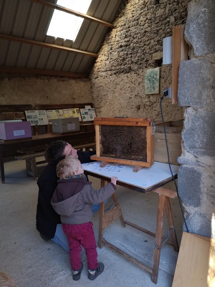 Découverte de l'apiculture à la Ruche des Puys La Ruche des Puys Saint-Ours