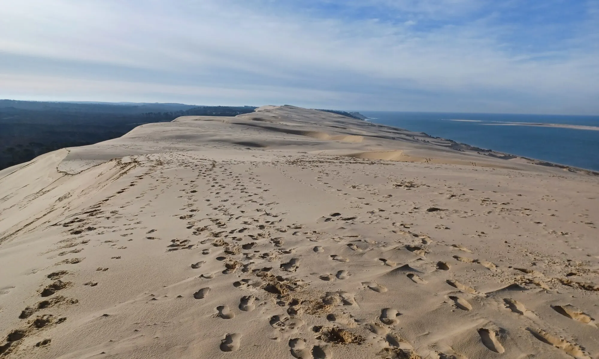 Visite guidée de la Dune du Pilat