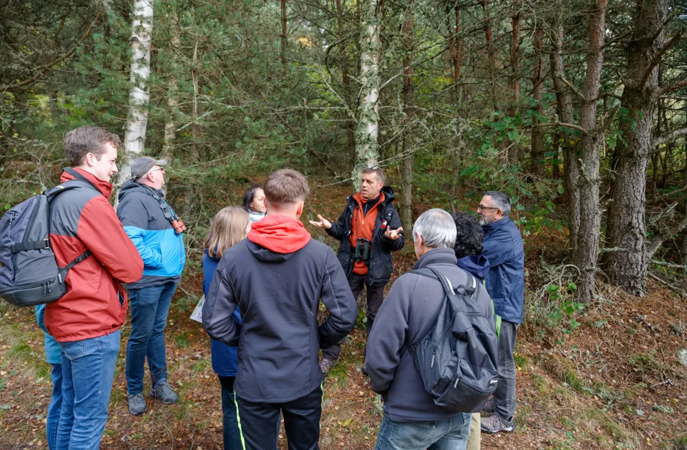 LES SORTIES NATURE LE MYSTÈRE DE NOS FORÊTS