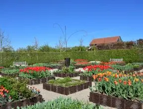 FÊTE DES JARDINS & DES SAVEURS