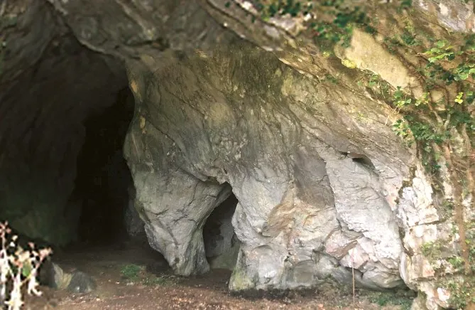 De Lascaux au bassin d'Arudy