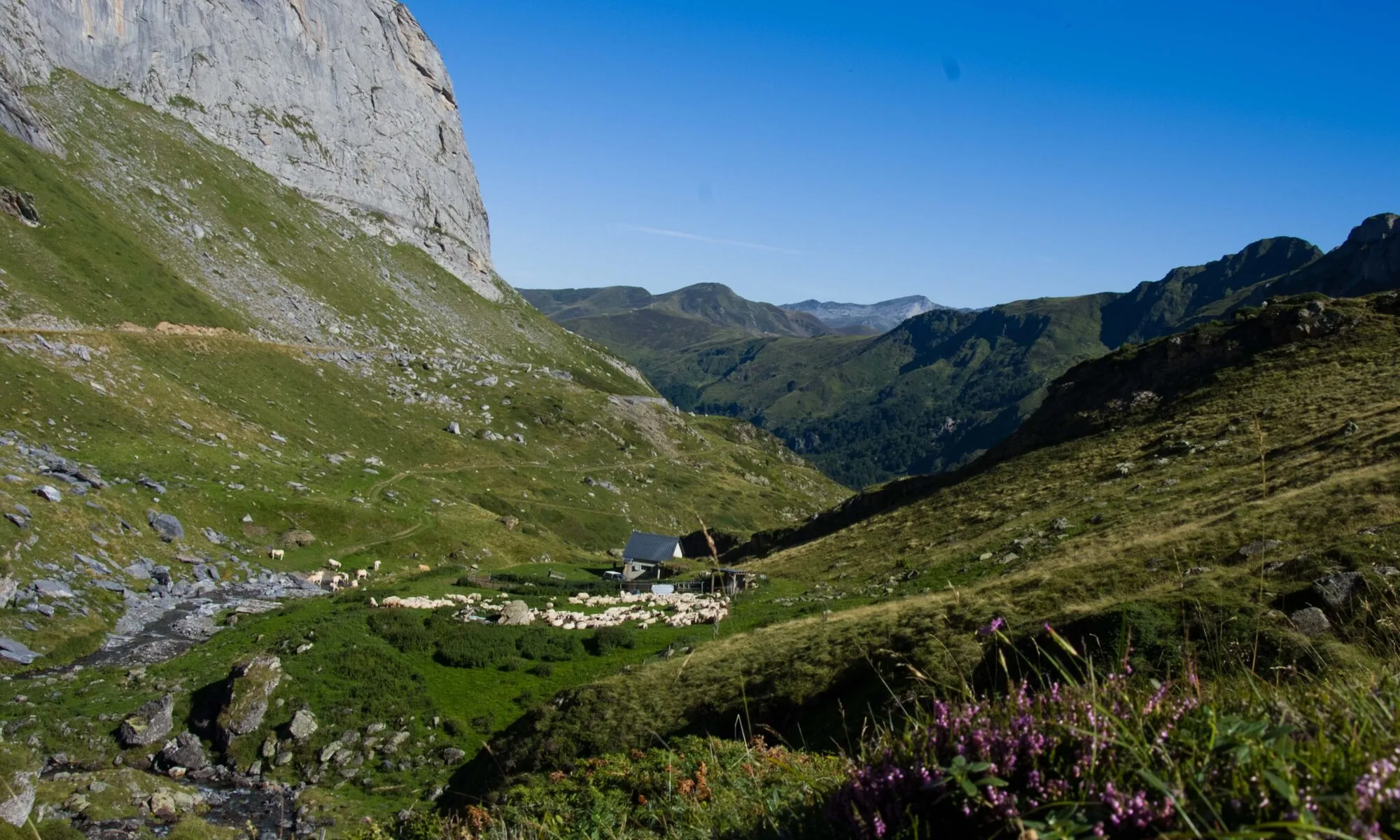 Conférence Pastoralisme et archéologie en Béarn