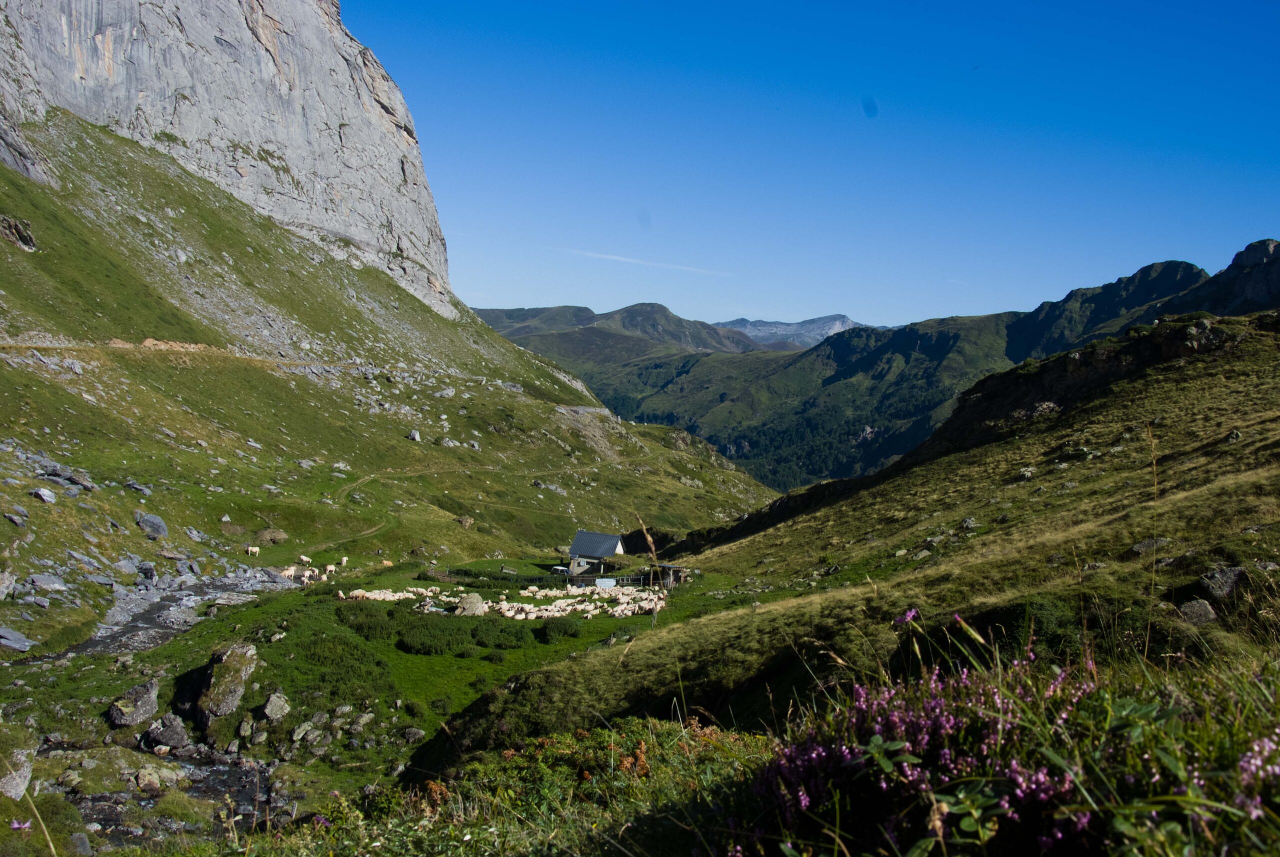 Conférence Pastoralisme et archéologie en Béarn