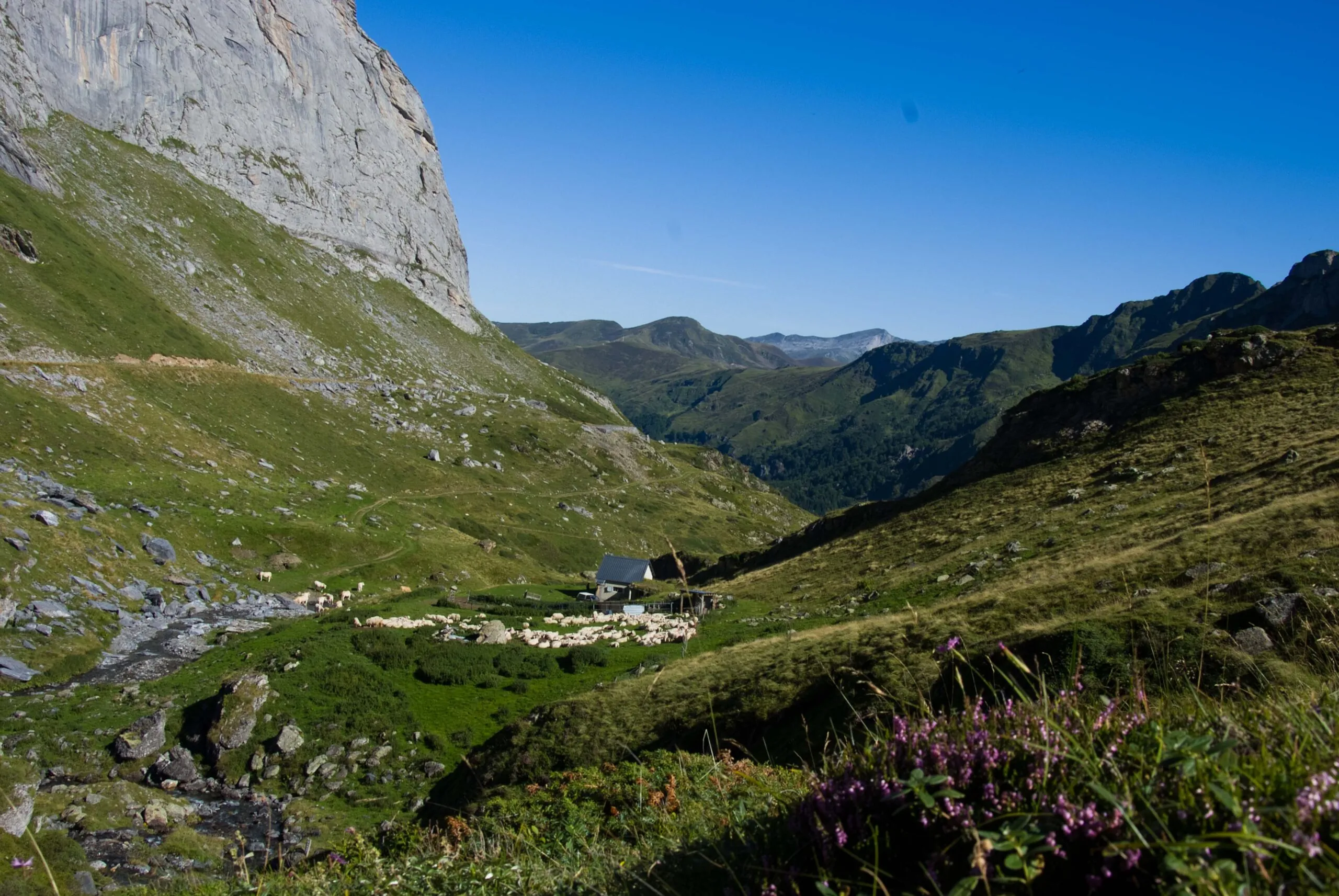 Conférence Pastoralisme et archéologie en Béarn