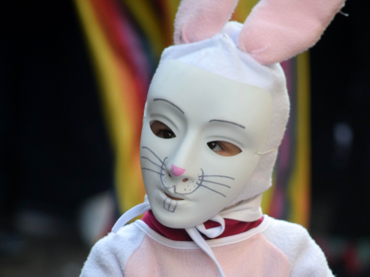 CARNAVAL DE LIMOUX 2025 CARNAVAL DES ENFANTS