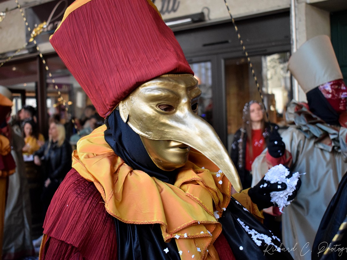 CARNAVAL DE LIMOUX 2025 "LES JOUVES" ET "LES LIMOUXINS"