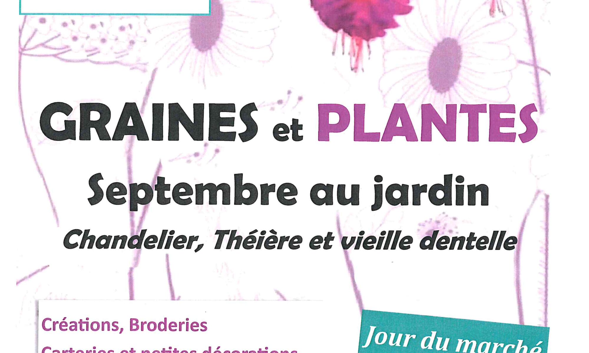 Graines et plantes