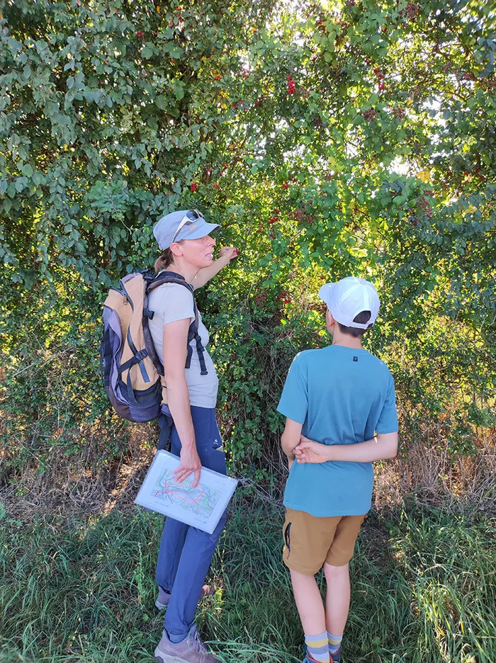 Contes nature en forêt de Petite-Gouffern Maison Forestière de la Haie d'Aunou Sai