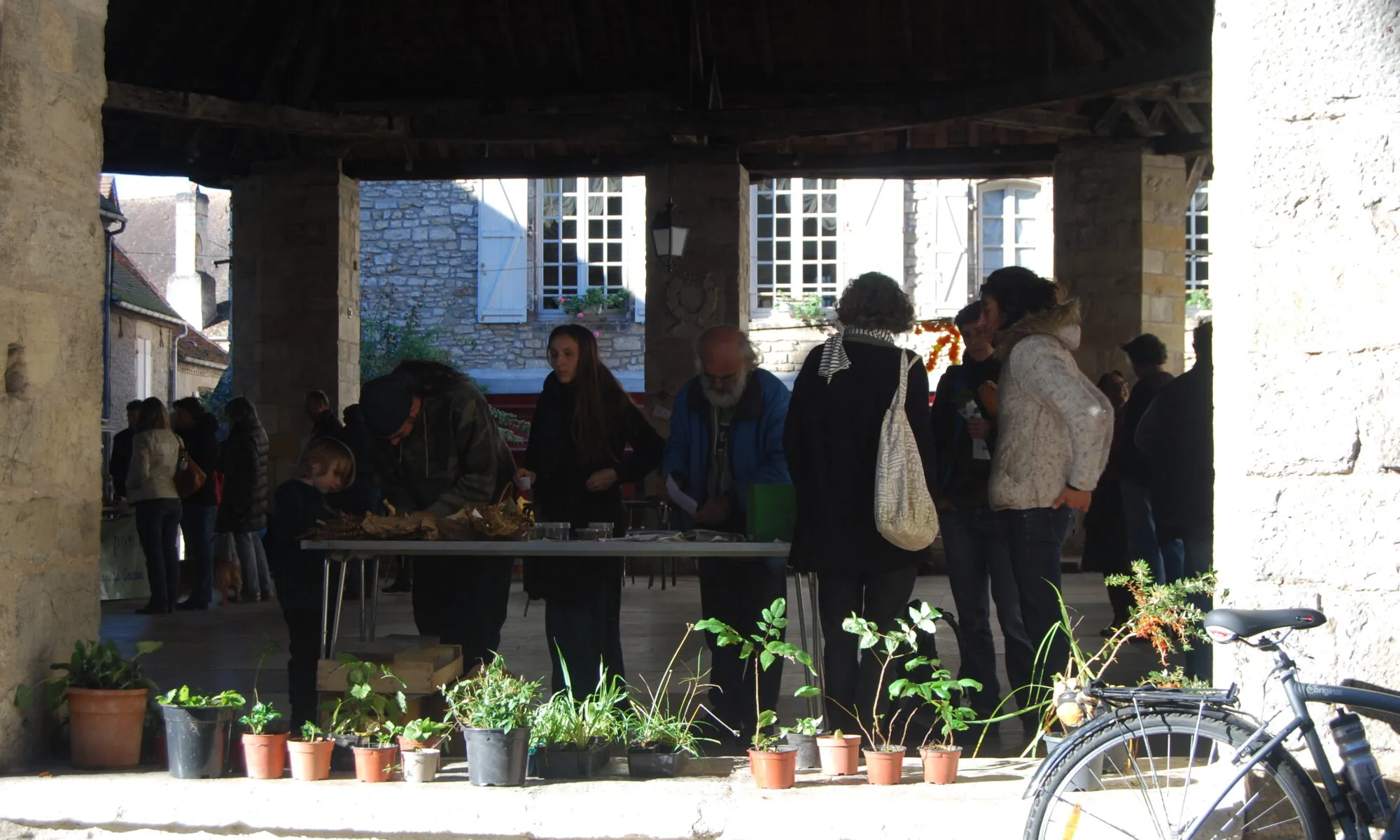 Autour de la botanique Troc de plantes & balade botanique