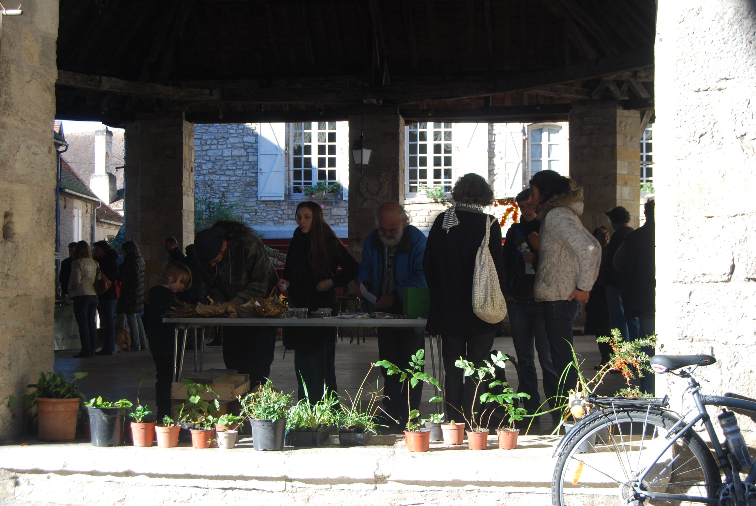 Autour de la botanique Troc de plantes & balade botanique