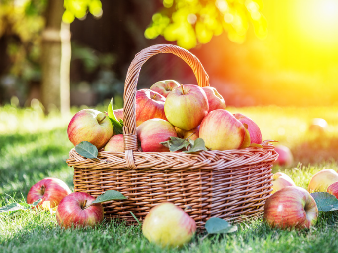 Fête de la Pomme