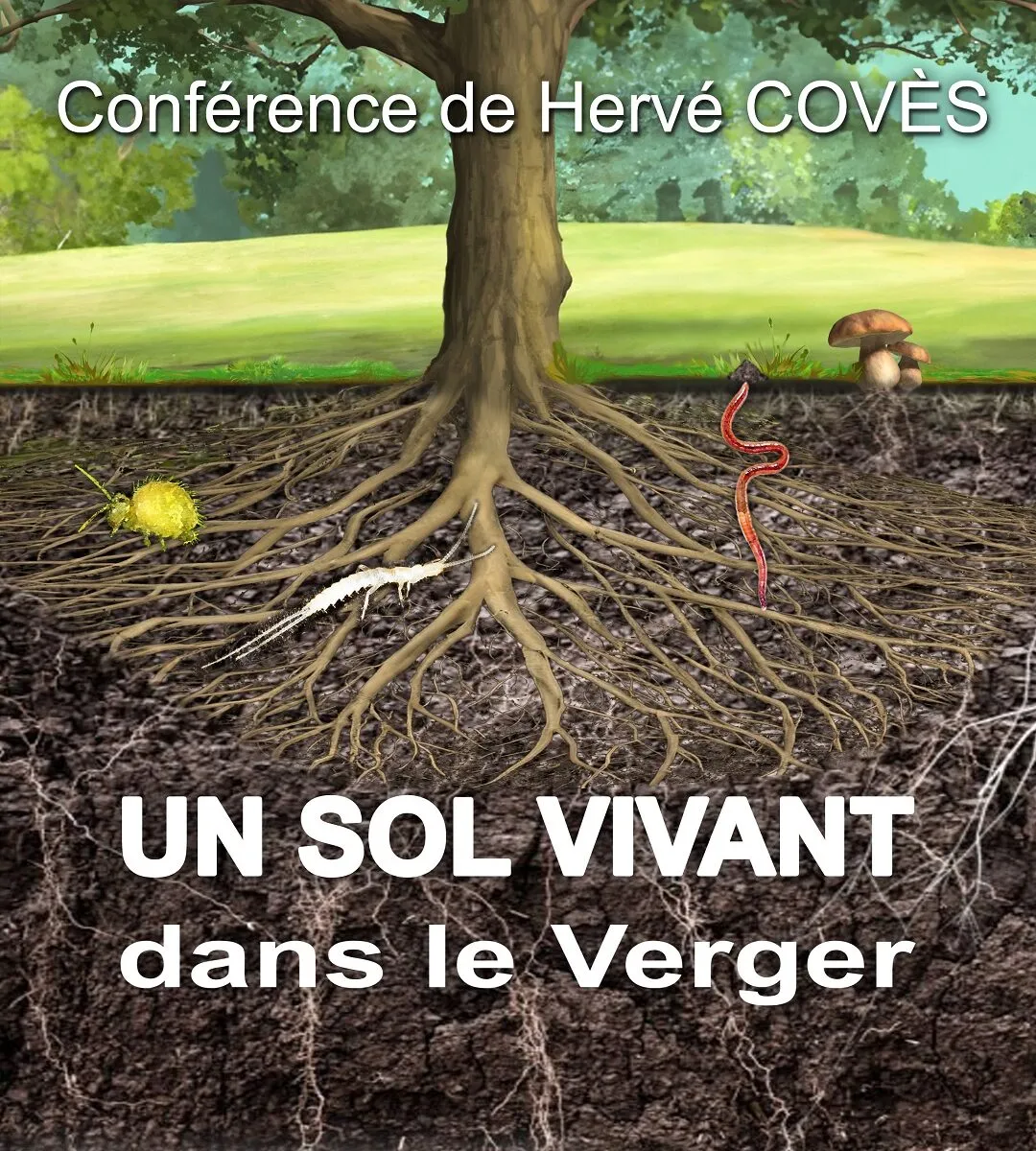 Conférence "Le sol vivant au verger"