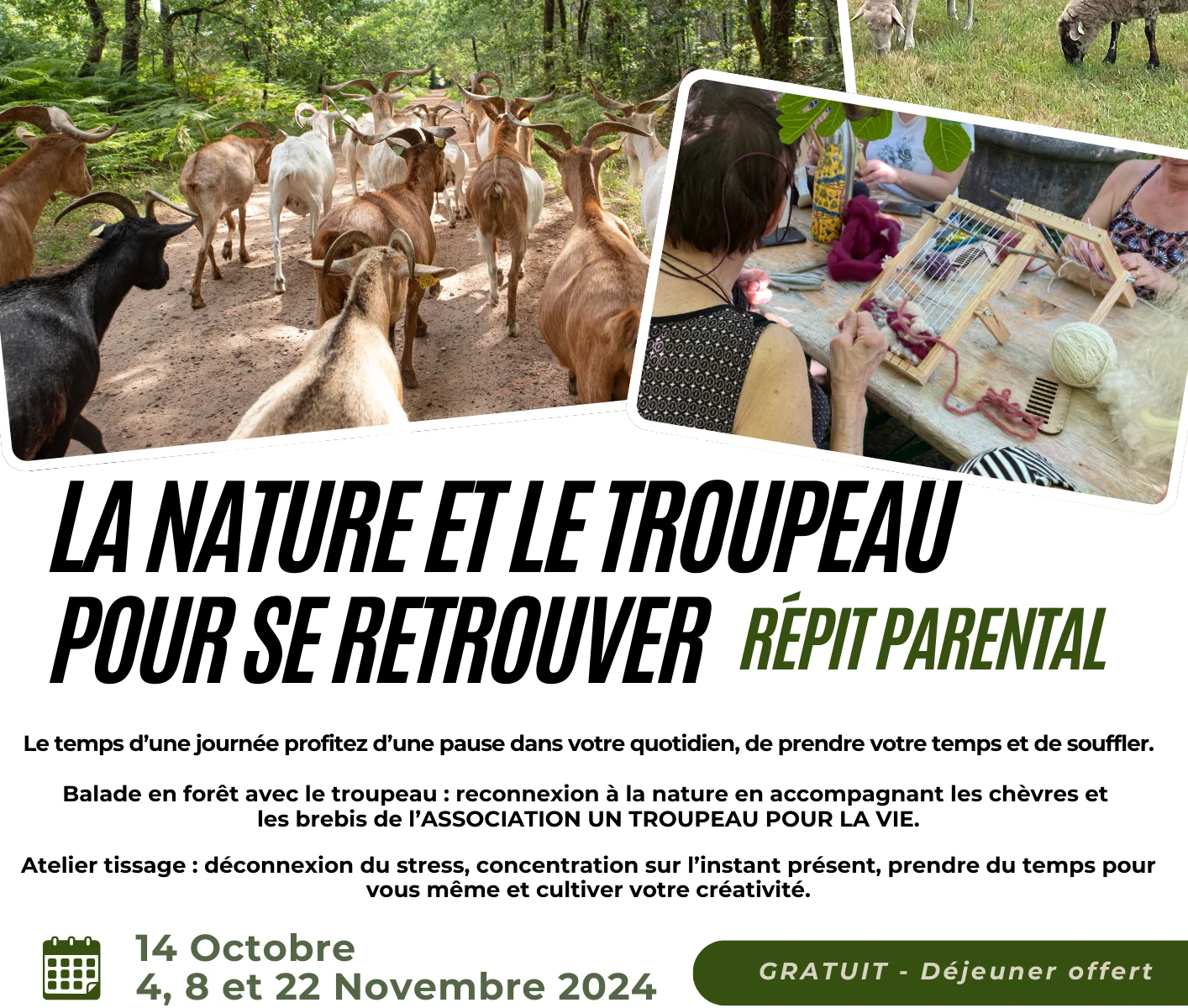 La nature et le troupeau pour se retrouver