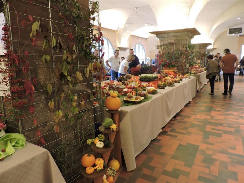 Fête du raisin Expositions